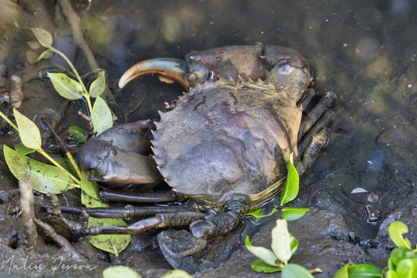 What Are the Challenges of Developing Real Estate in Coastal Erosion Zones?